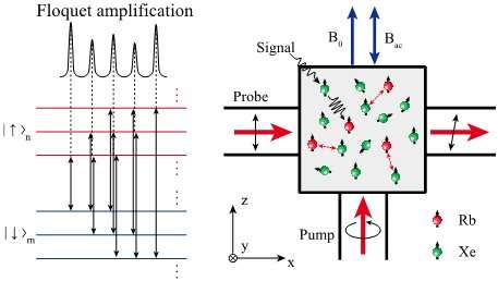 Researchers extend quantum amplification to Floquet systems