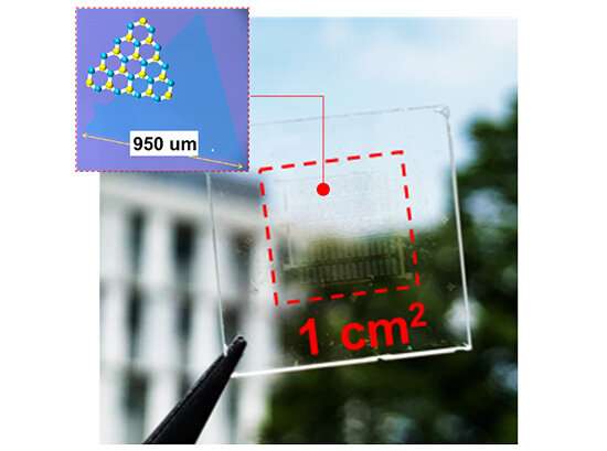 Researchers fabricate highly transparent solar cell with 2D atomic sheet