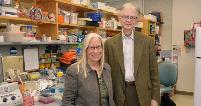 Researchers find potential new target against colorectal cancer
