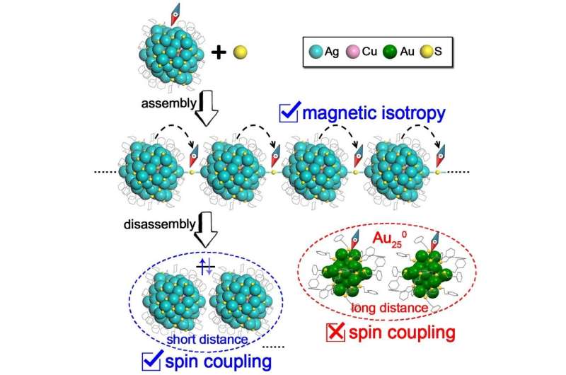 Researchers find spin transfer and distance-dependent spin coupling in linearly assembled Ag-Cu nanoclusters