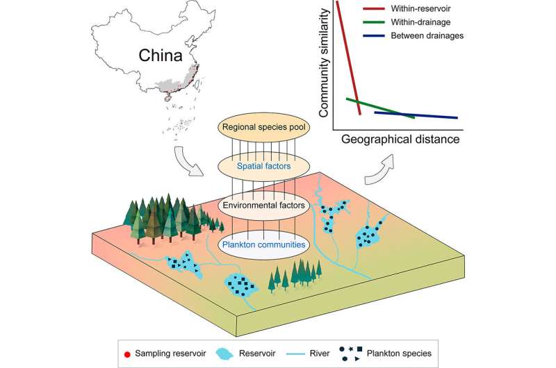 Researchers investigate spatial distribution of reservoir plankton communities in Southeast China