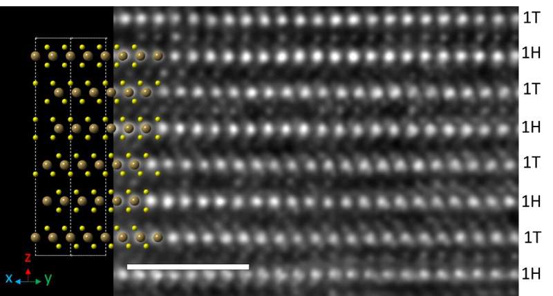 Significant advance in 2D material science with diversely behaving layers in a single
TOU