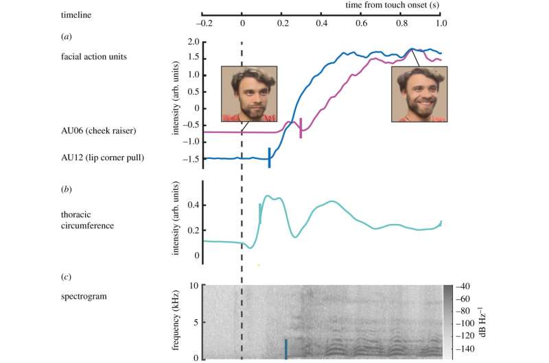 研究人员测量了人类的挠痒反应，并提供了一种理论来解释为什么人们不能给自己挠痒