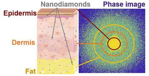 Researchers produce nanodiamonds capable of delivering medicinal and cosmetic remedies through the skin