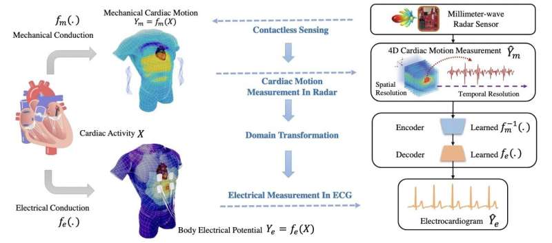 Researchers realize contactless electrocardiogram monitoring