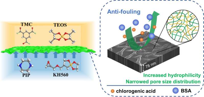Researchers regulate pore size distribution to improve nanofiltration membrane