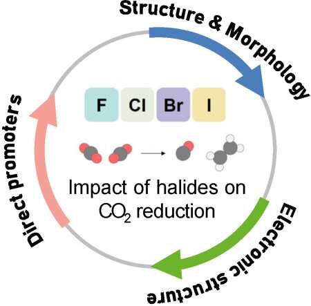 Researchers review impact of halides on electrochemical CO2 reduction