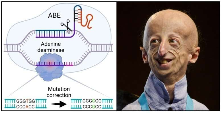 Researchers show that mutations in DNA can be corrected with short-term expression of gene editing tools
