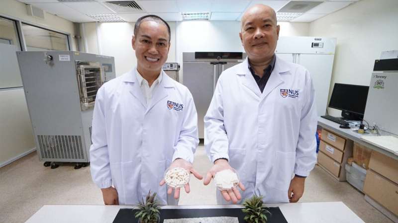 Researchers upcycle pineapple leaves into low-cost fat trappers