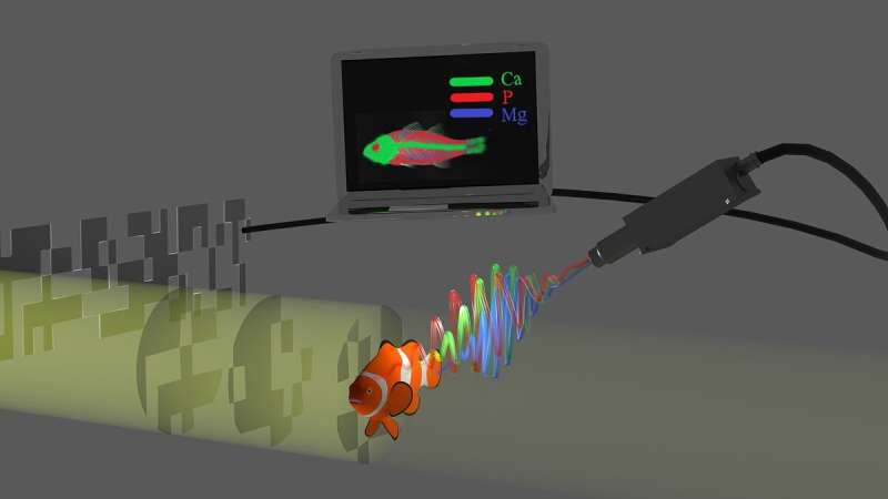 Researchers Use Ghost Imaging to Speed Up X-ray Fluorescence Chemical Mapping