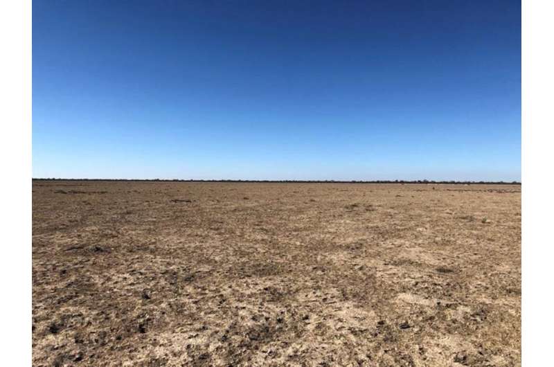 Restoring abandoned agricultural land in the Murray-Darling Basin