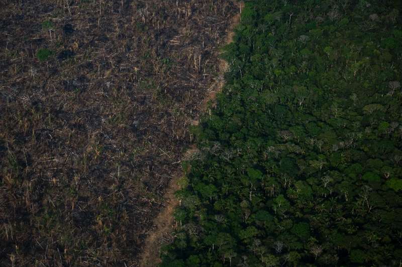 La restauration des forêts et la plantation d'arbres qui absorbent et stockent le CO2 à mesure qu'ils poussent figurent également en bonne place dans les scénarios de développement ach