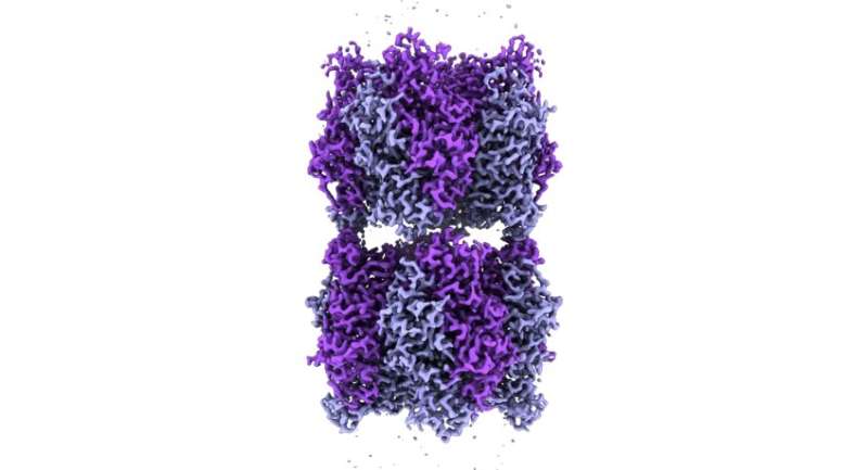 Resurrecting billon-year-old enzymes reveals how photosynthesis adapted to the rise of oxygen