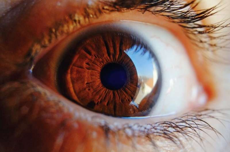 Researchers stimulate blind retina using centralized ultrasound technology

 TOU