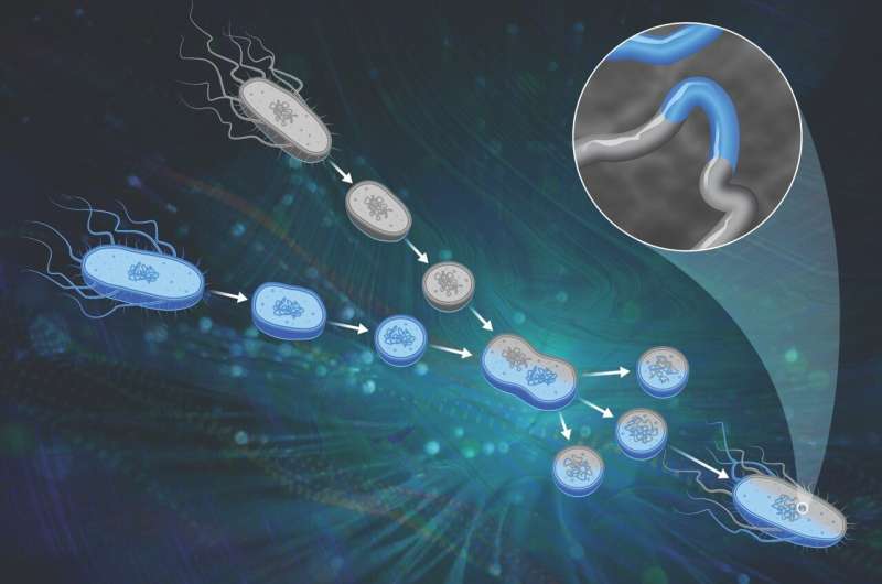 Retro technique advances modern bacterial engineering for bioenergy