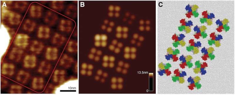 Revealing atomistic structures behind AFM imaging