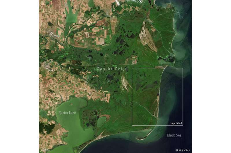Revealing coastline dynamics of the Danube Delta