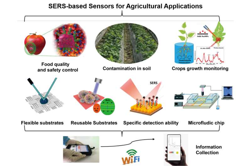 Una revisión de los sensores basados ​​en SERS para aplicaciones agrícolas