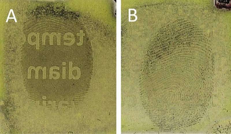 Revolutionary forensic fingerprint technique could help fight against fraud