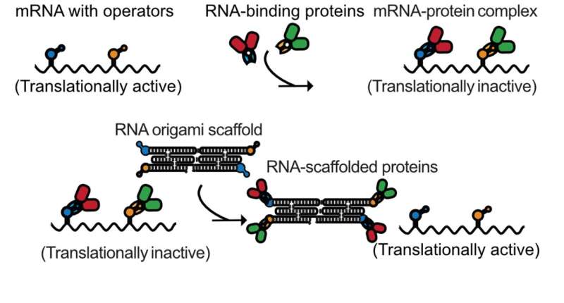 RNA origami enables applications in synthetic biology