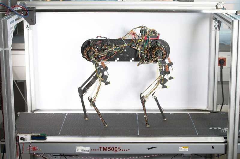 Robot dog learns to walk in one hour