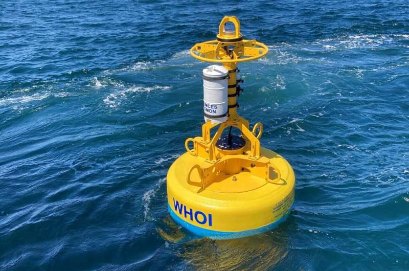 Robotic buoys developed to keep Atlantic right whales safe