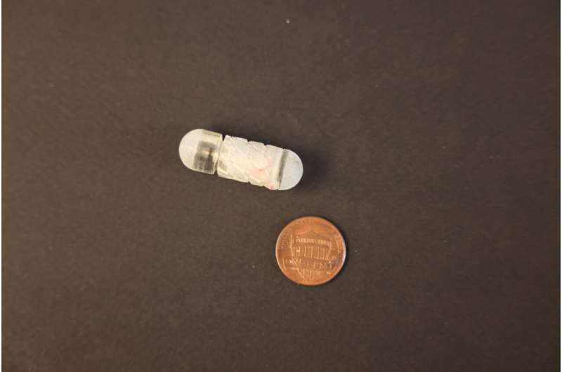 Robotic capsule developed to deliver drugs to the gut
