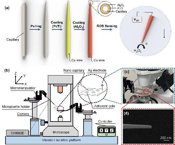 Robotic intracellular electrochemical sensing for adherent cells