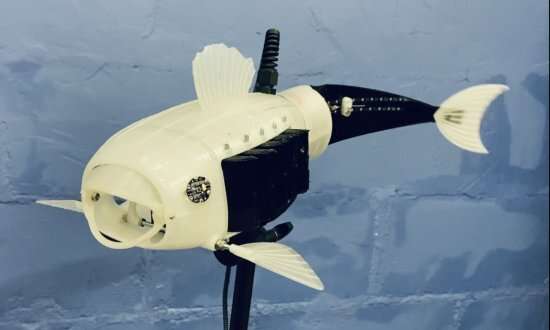 Robotics researchers turn the public's ideas into 'robo-fish' reality 