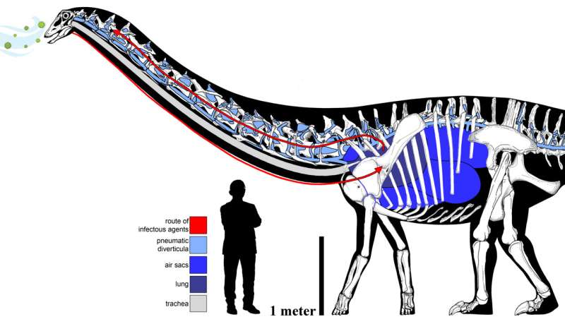 Sauro-Throat! Study finds first evidence indicating dinosaur respiratory infection