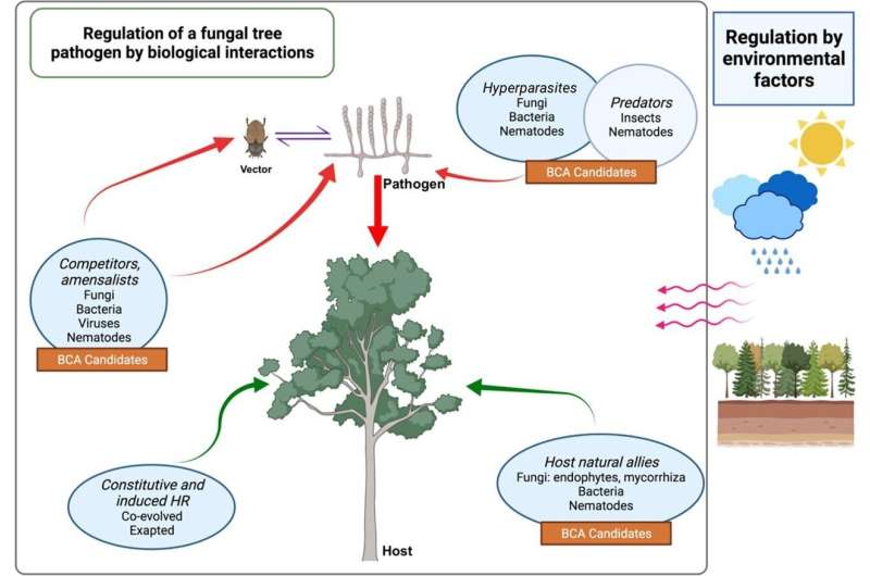 Science-based policy-making: New recommendations for forest pests and diseases management
