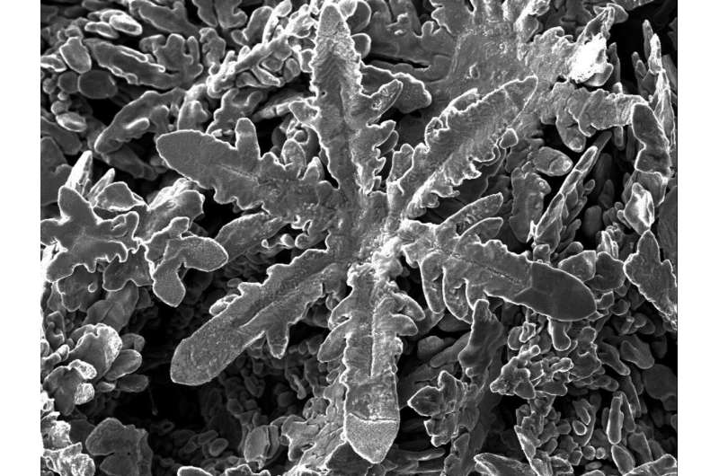 Scientist mimic nature to make nano particle metallic snowflakes