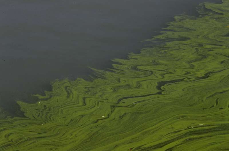 Scientists: Atmospheric carbon might turn lakes more acidic