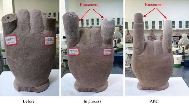 Scientists create renewable biocement made entirely from waste materials