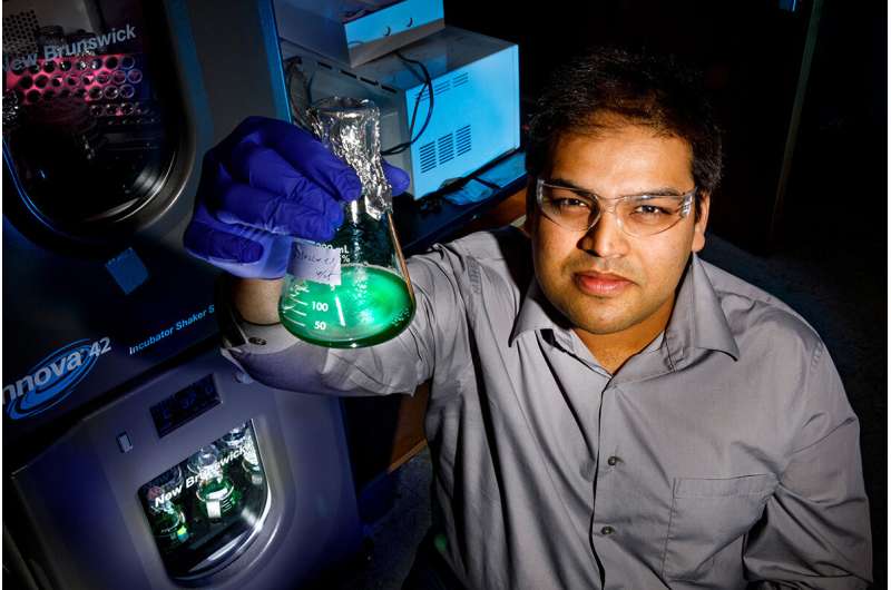 Scientists create viable, reproducing yeast-cyanobacterial hybrids
