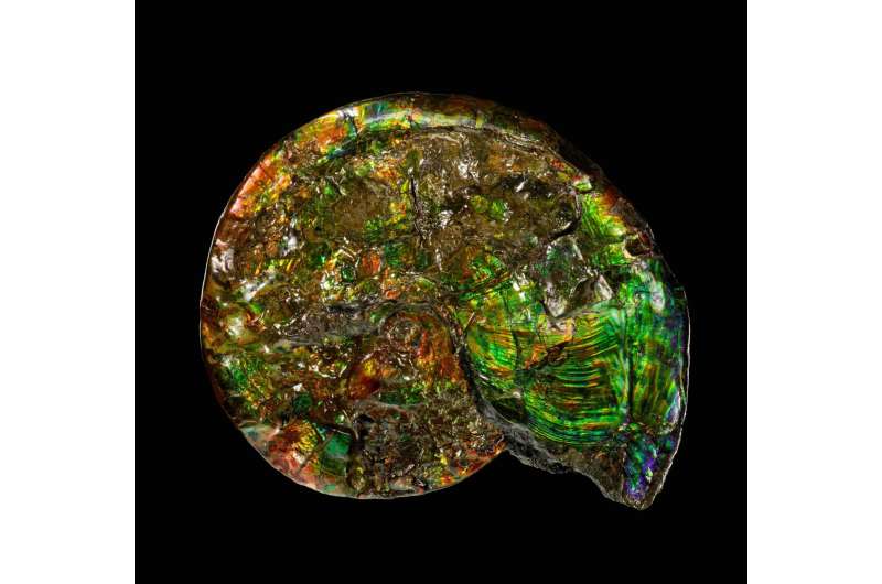Scientists decipher, catalog the diverse origins of Earth's minerals; ﻿will inform models of life's history, help find new miner