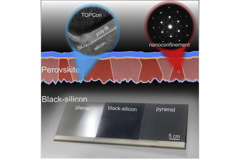 Scientists develop high-effiencicy monolithic perovskite/black silicon TOPCon tandem solar cells