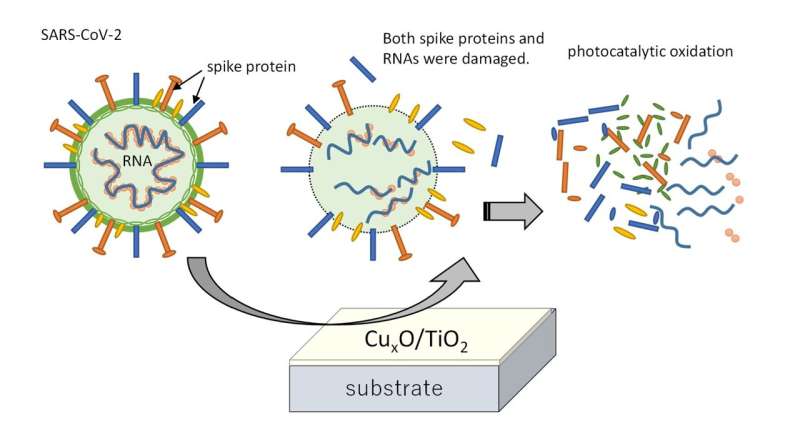 Scientists develop indoor-active photocatalyst for antiviral coating against various variant types of novel coronavirus SARS-CoV
