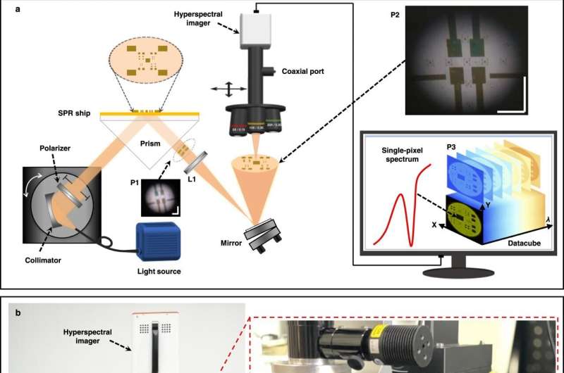 Scientists develop novel hyperspectral surface plasmon resonance microscopy system