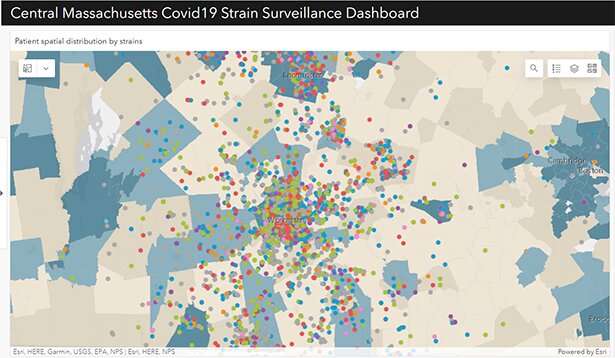 Scientists develop web app for visualizing locality of COVID variants, clinical data