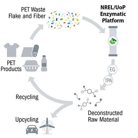 Scientists discover enzymes that could make it cheaper to recycle waste polyester textiles and bottles than making them from pet