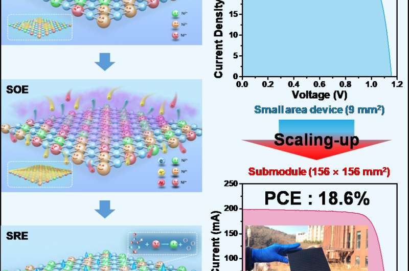 Scientists fabricate high-performance, large-area perovskite submodules for solar cells