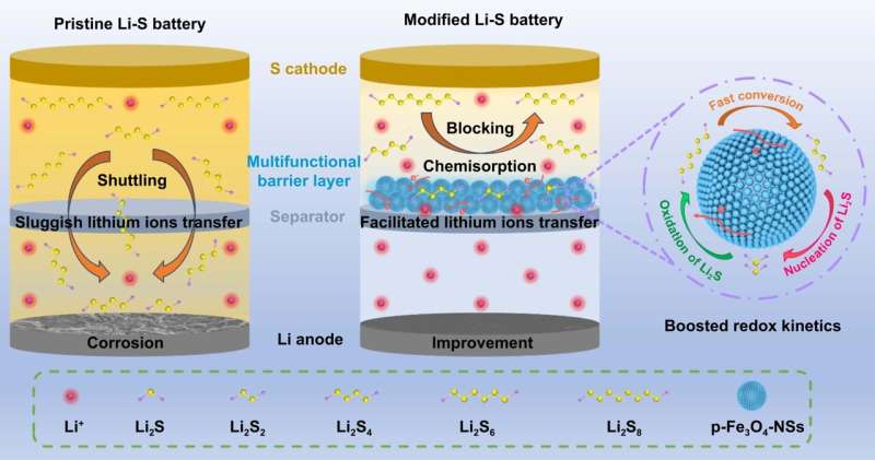 Scientists fabricated highly long-life Li-S batteries based on multifunctional separators functionalized by porous mediators