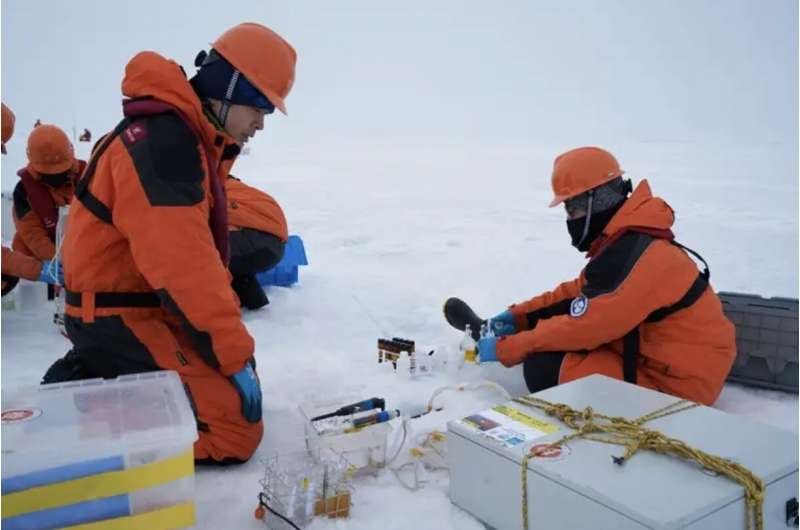 Scientists find link between fast-melting Arctic ice and ocean acidification