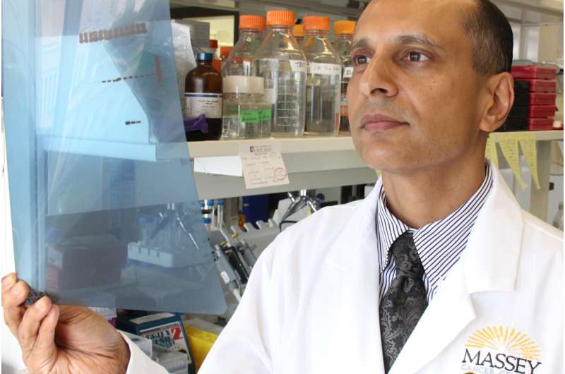 Scientists find strong evidence for testing VCU-manufactured drug in liver cancer