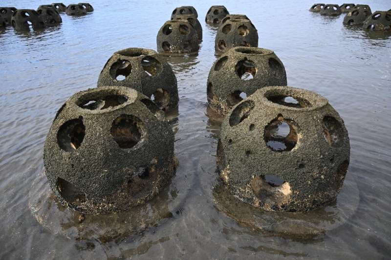 Scientists hope reef balls like these, in waters near Chula Vista, California, will ultimately help protect the coast from erosi