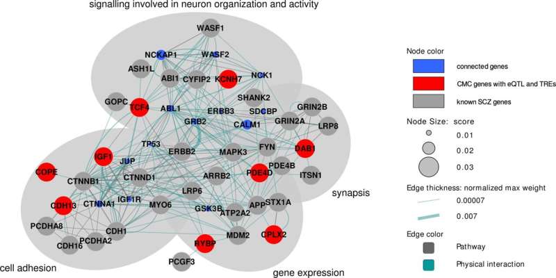 Scientists link rare genetic phenomenon to neuron function, schizophrenia