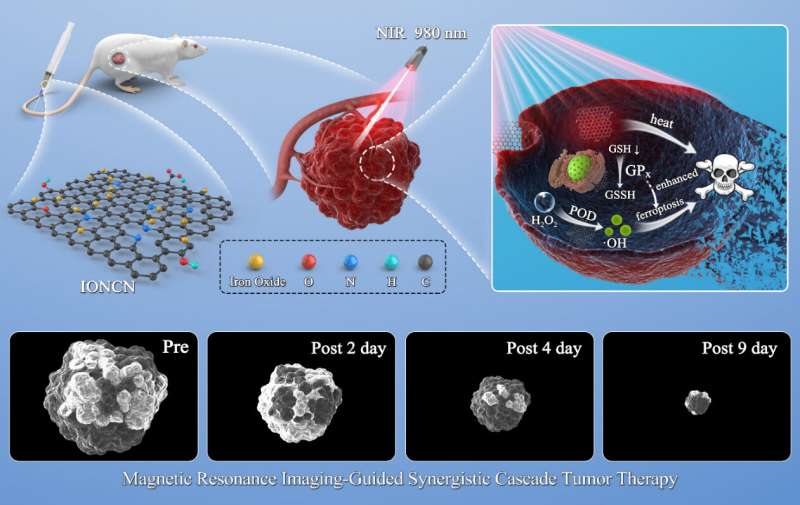 Scientists propose near-infrared-triggered nanozyme for synergistic cascade tumor therapy