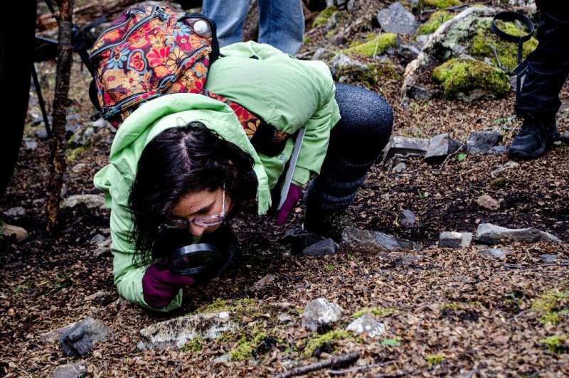 Scientists study moss, lichen and fungi at the Omora Etnobotanical Park in Puerto Williams in order to observe the effects of cl