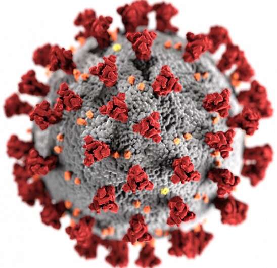 Scientists uncover how SARS-CoV-2 blocks antiviral defences